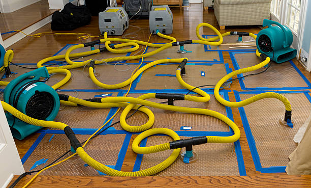 Professional Burst Pipe Water Damage technician working in Des Moines, IA